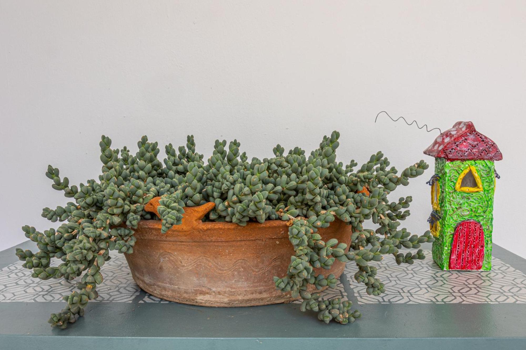 Apartment Garden Luxury