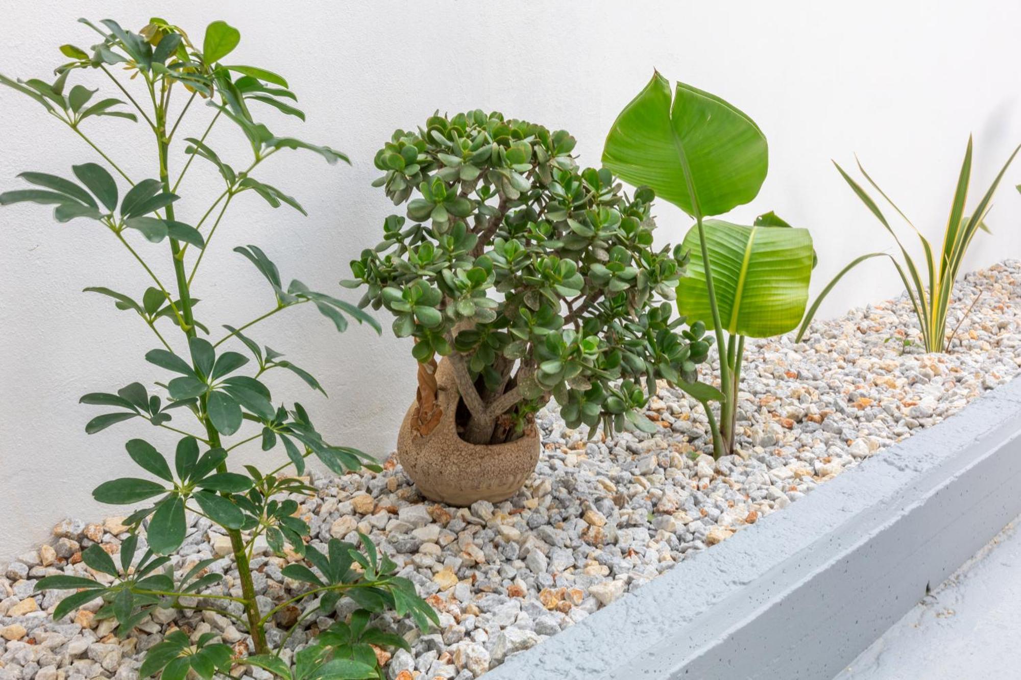 Garden Luxury * Héraklion